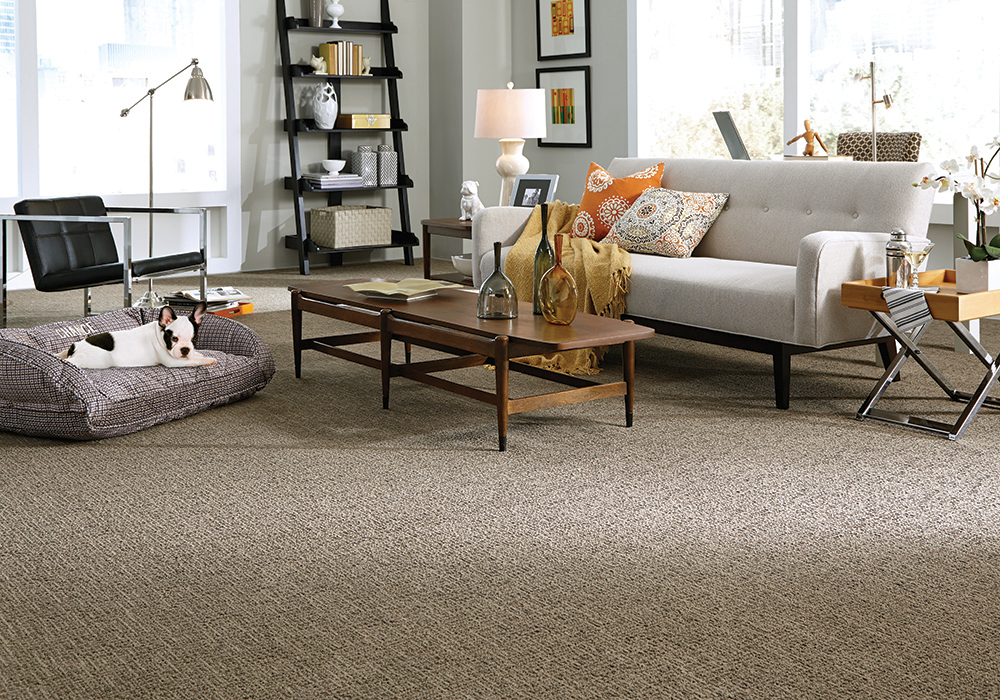 stainmaster petprotect carpet review image