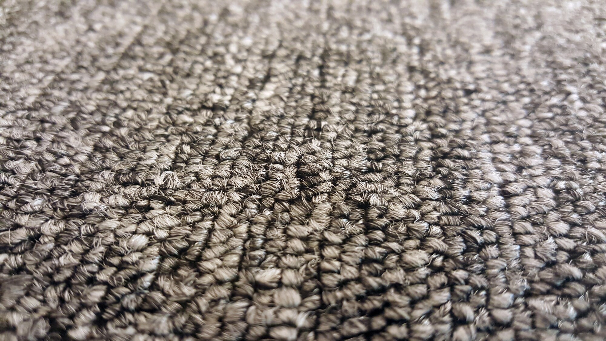 carpet colors