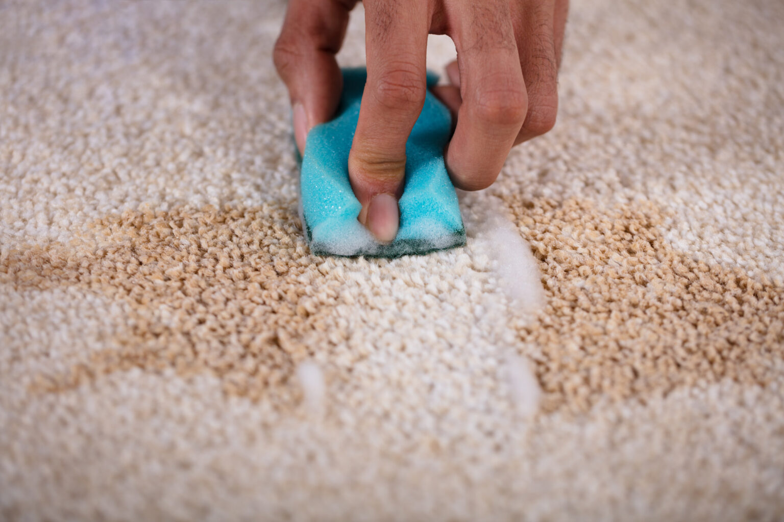 Top 10 Common Carpet Stains and How to Clean Them | Carpet Insight